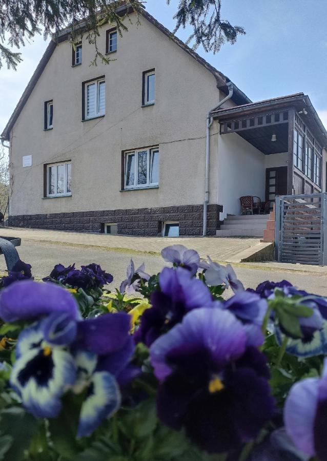 Agroturystyka Nad Bobrem Pilchowice Экстерьер фото